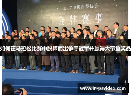 如何在马拉松比赛中脱颖而出争夺冠军并赢得大带鱼奖品