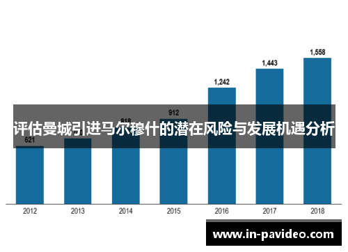 评估曼城引进马尔穆什的潜在风险与发展机遇分析