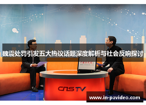 魏震处罚引发五大热议话题深度解析与社会反响探讨