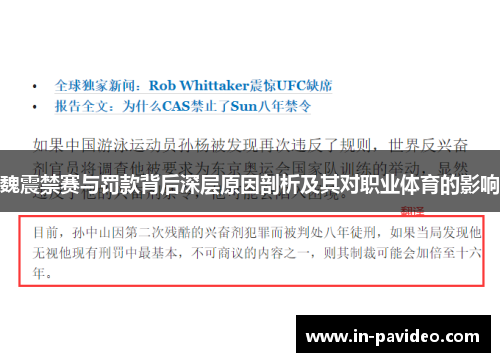 魏震禁赛与罚款背后深层原因剖析及其对职业体育的影响