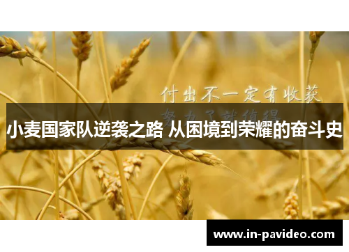 小麦国家队逆袭之路 从困境到荣耀的奋斗史