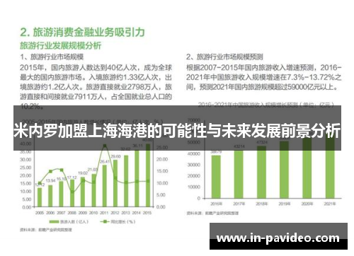 米内罗加盟上海海港的可能性与未来发展前景分析