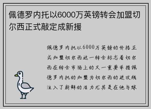 佩德罗内托以6000万英镑转会加盟切尔西正式敲定成新援
