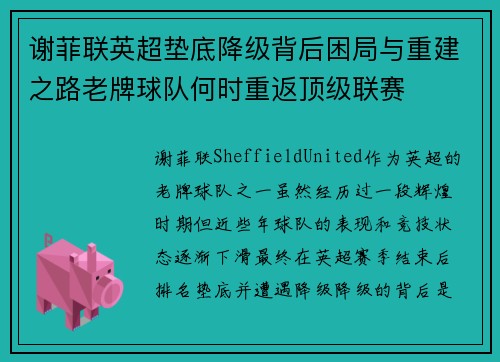 谢菲联英超垫底降级背后困局与重建之路老牌球队何时重返顶级联赛
